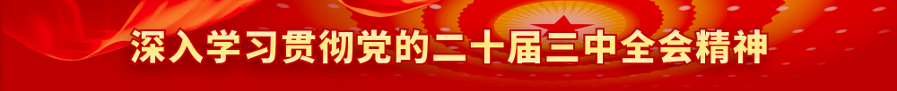 深入学习贯彻党的二十届三中全会精神